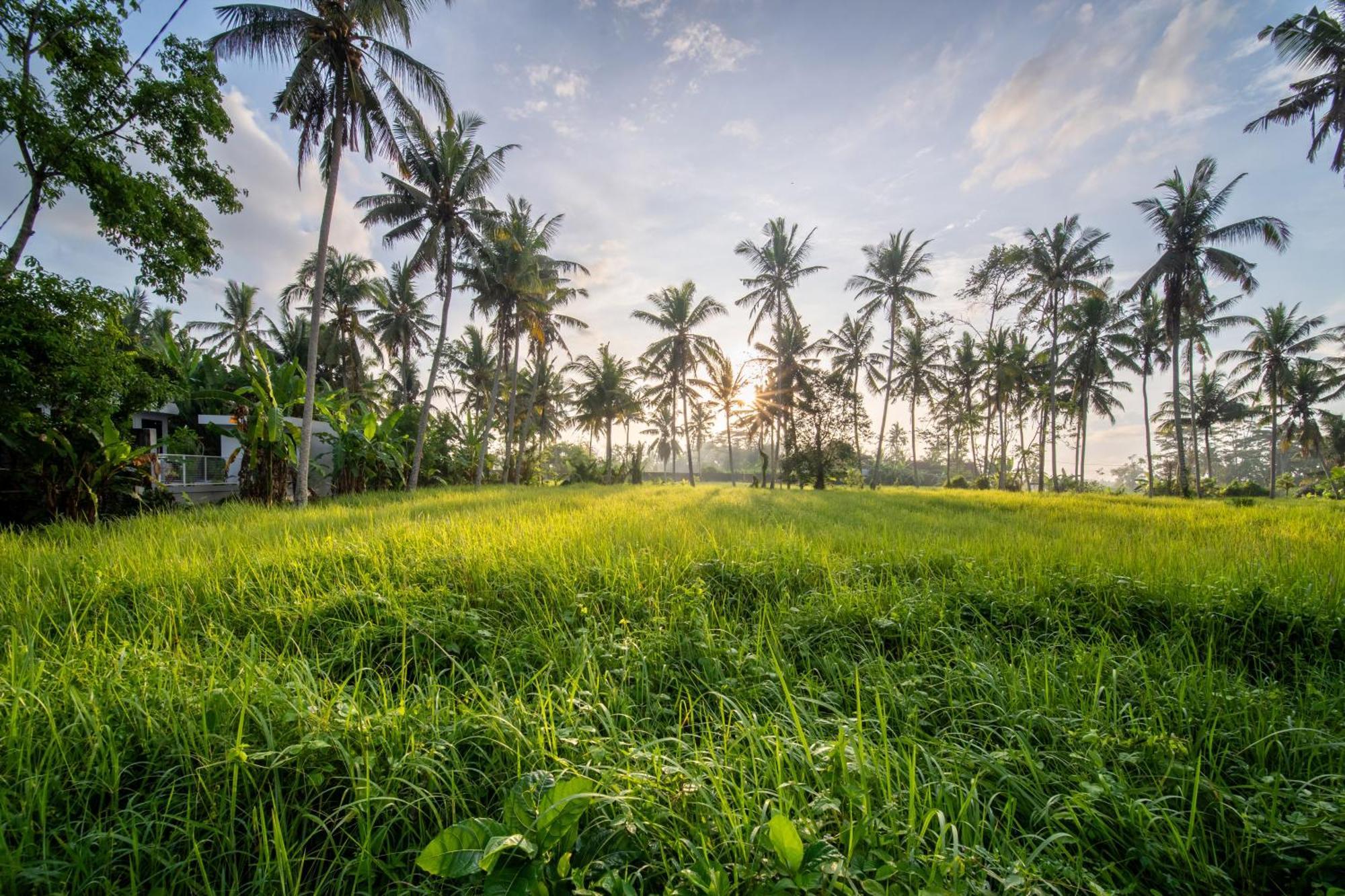 Casa Estrella - Luxe In Ubud 外观 照片